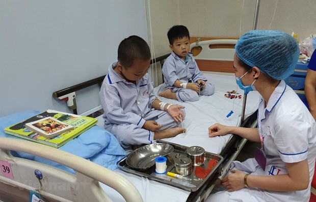 14 million Vietnamese people carry Thalassemia gene